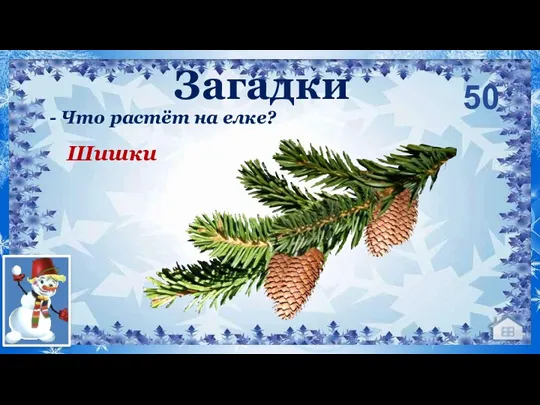 - Что растёт на елке? Шишки 50 Загадки