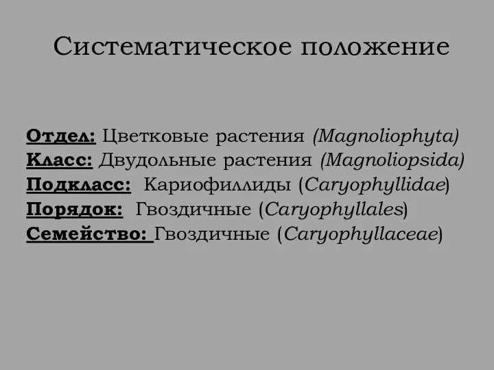 Систематическое положение Отдел: Цветковые растения (Magnoliophyta) Класс: Двудольные растения (Magnoliopsida)