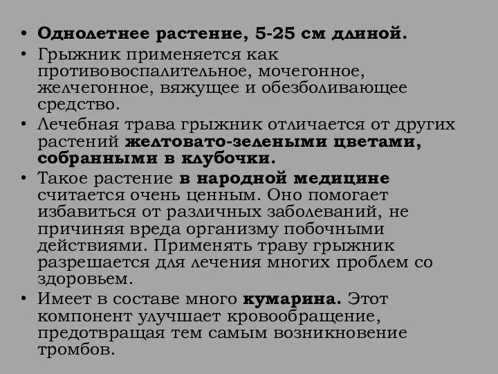 Однолетнее растение, 5-25 см длиной. Грыжник применяется как противовоспалительное, мочегонное,