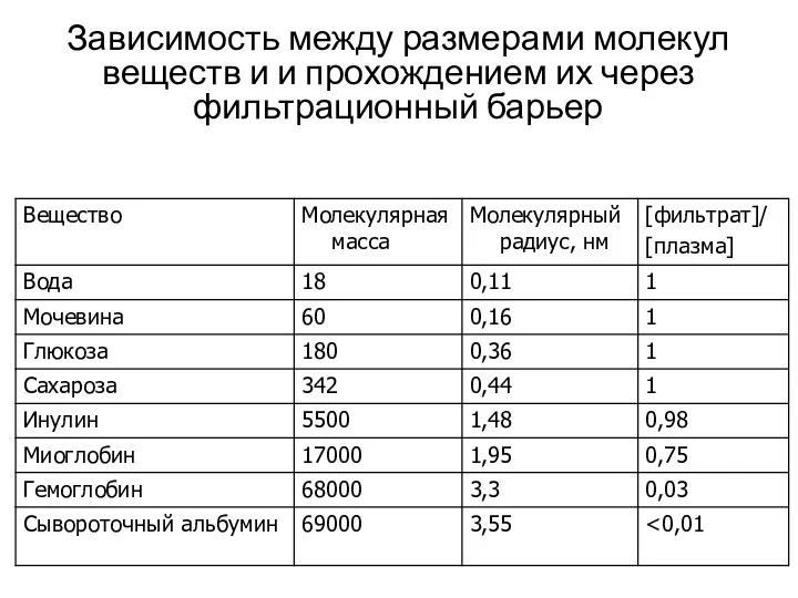 Зависимость между размерами молекул веществ и и прохождением их через фильтрационный барьер