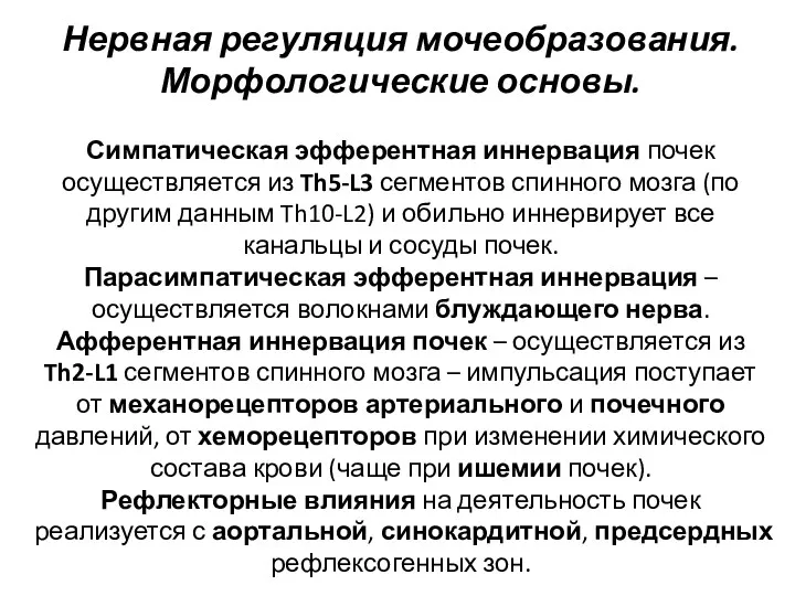 Нервная регуляция мочеобразования. Морфологические основы. Симпатическая эфферентная иннервация почек осуществляется