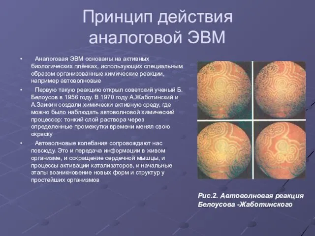 Принцип действия аналоговой ЭВМ Аналоговая ЭВМ основаны на активных биологических плёнках, использующих специальным