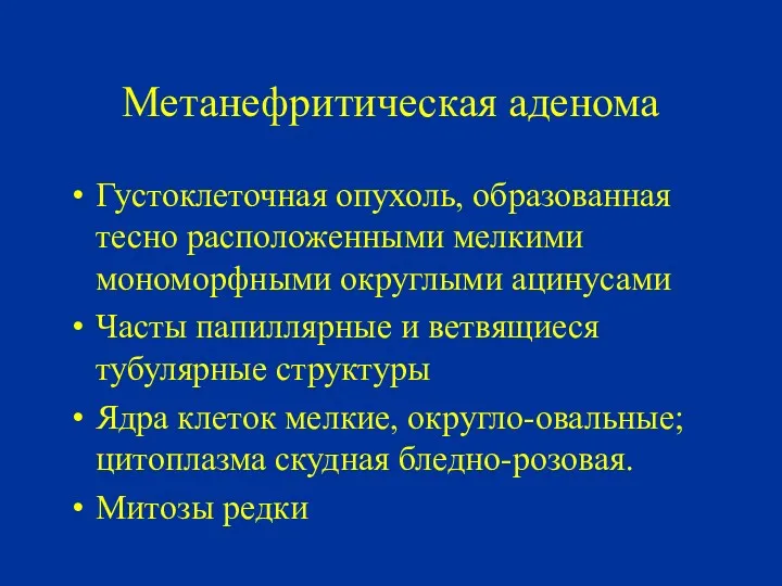 Метанефритическая аденома Густоклеточная опухоль, образованная тесно расположенными мелкими мономорфными округлыми