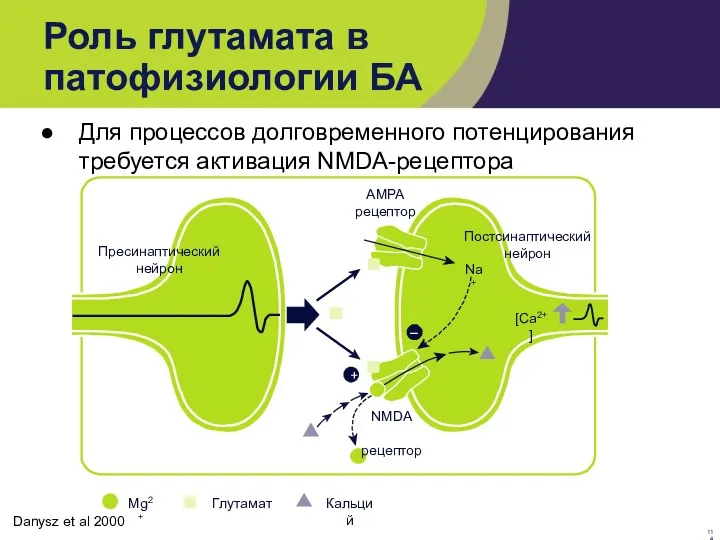 Роль глутамата в патофизиологии БА Для процессов долговременного потенцирования требуется активация NMDA-рецептора Danysz