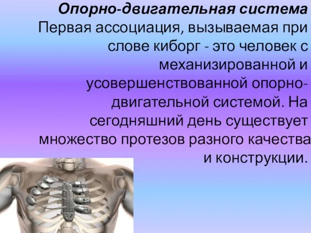 Опорно-двигательная система Первая ассоциация, вызываемая при слове киборг - это