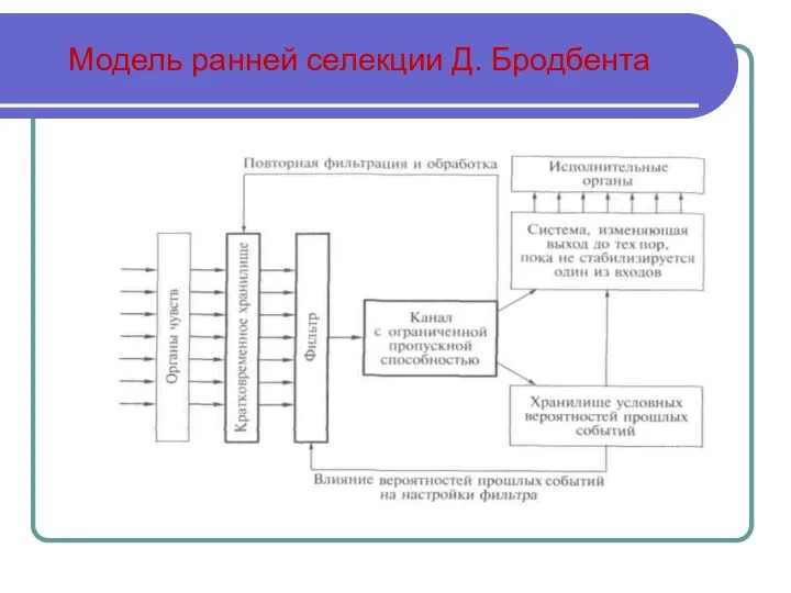 Модель ранней селекции Д. Бродбента