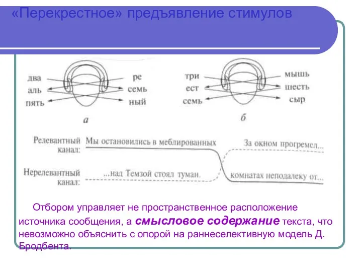 «Перекрестное» предъявление стимулов Отбором управляет не пространственное расположение источника сообщения,