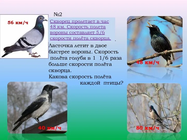 №2 Скворец пролетает в час 48 км.Скорость полета вороны составляет