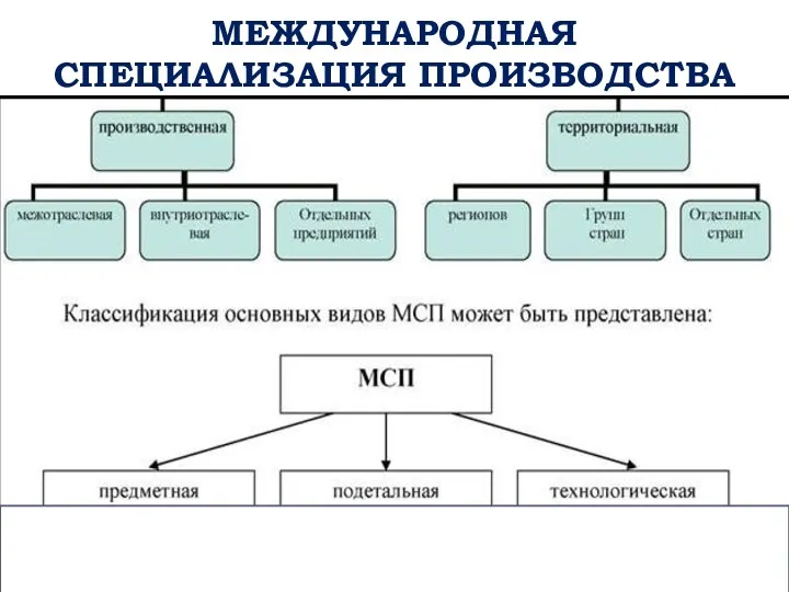 МЕЖДУНАРОДНАЯ СПЕЦИАЛИЗАЦИЯ ПРОИЗВОДСТВА