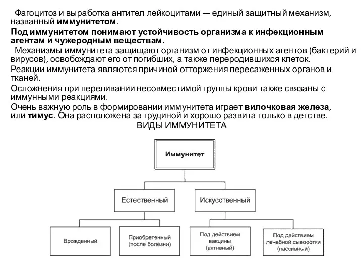 Фагоцитоз и выработка антител лейкоцитами — единый защитный механизм, названный