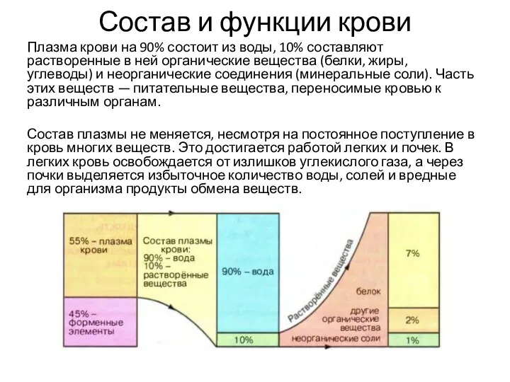 Состав и функции крови Плазма крови на 90% состоит из