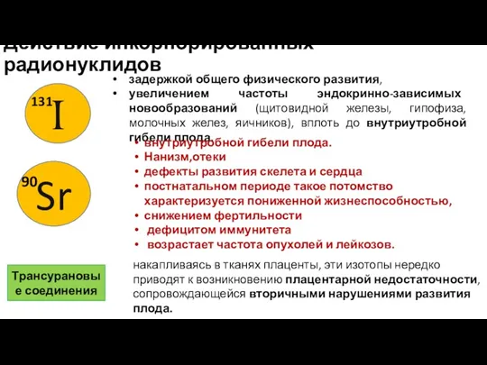 Действие инкорпорированных радионуклидов задержкой общего физического развития, увеличением частоты эндокринно-зависимых новообразований (щитовидной железы,