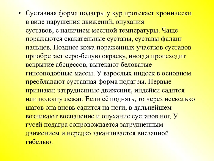 Суставная форма подагры у кур протекает хронически в виде нарушения