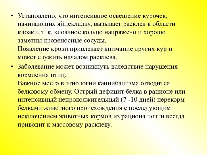 Установлено, что интенсивное освещение курочек, начинающих яйцекладку, вызывает расклев в