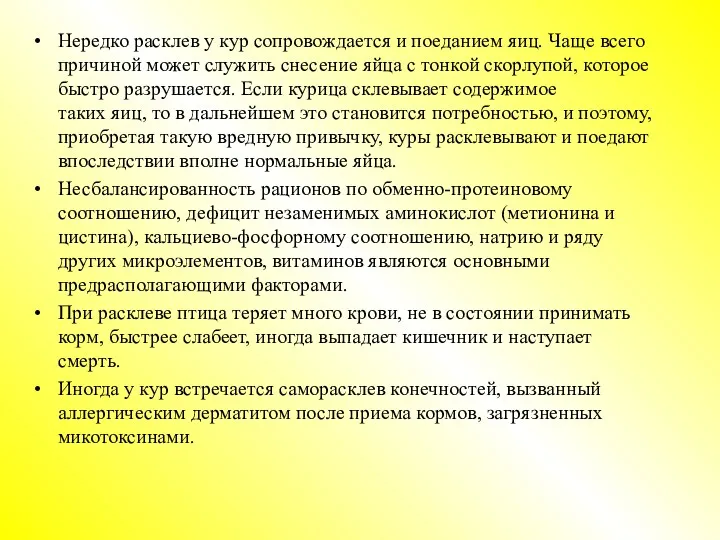 Нередко расклев у кур сопровождается и поеданием яиц. Чаще всего