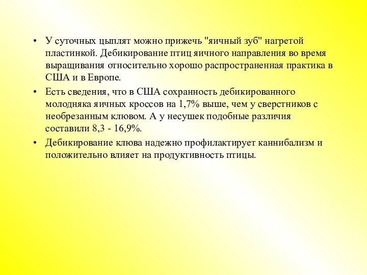 У суточных цыплят можно прижечь "яичный зуб" нагретой пластинкой. Дебикирование