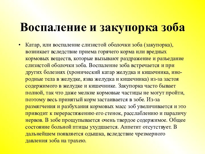 Воспаление и закупорка зоба Катар, или воспаление слизистой оболочки зоба