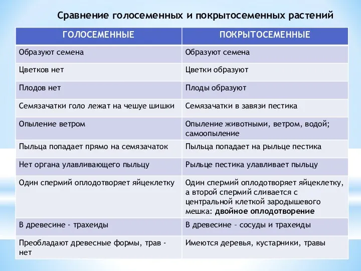 Сравнение голосеменных и покрытосеменных растений