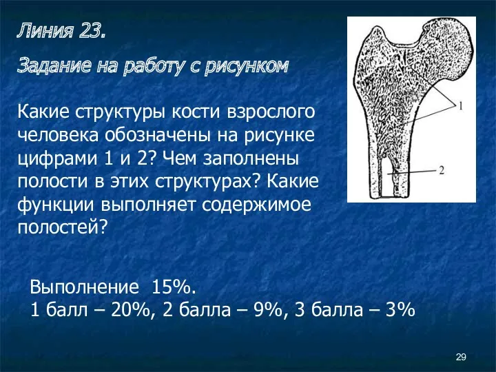 Линия 23. Задание на работу с рисунком Какие структуры кости