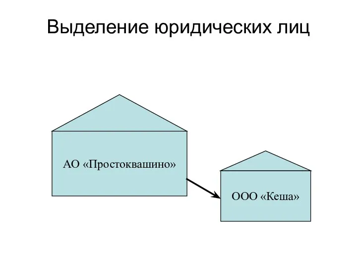 Выделение юридических лиц АО «Простоквашино» ООО «Кеша»