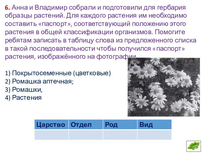 6. Анна и Владимир собрали и подготовили для гербария образцы растений. Для каждого