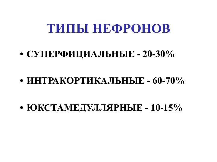 ТИПЫ НЕФРОНОВ СУПЕРФИЦИАЛЬНЫЕ - 20-30% ИНТРАКОРТИКАЛЬНЫЕ - 60-70% ЮКСТАМЕДУЛЛЯРНЫЕ - 10-15%