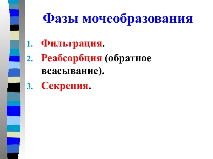 Фазы мочеобразования Фильтрация. Реабсорбция (обратное всасывание). Секреция.