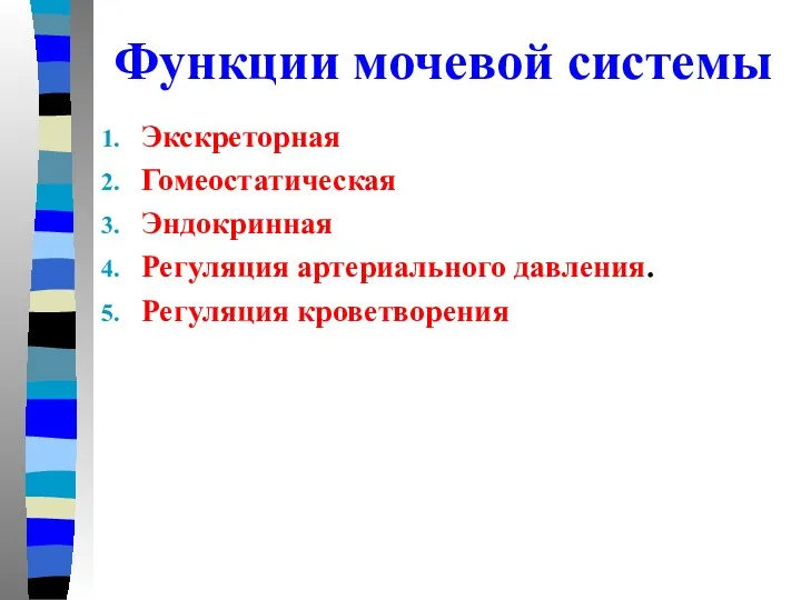 Функции мочевой системы Экскреторная Гомеостатическая Эндокринная Регуляция артериального давления. Регуляция кроветворения