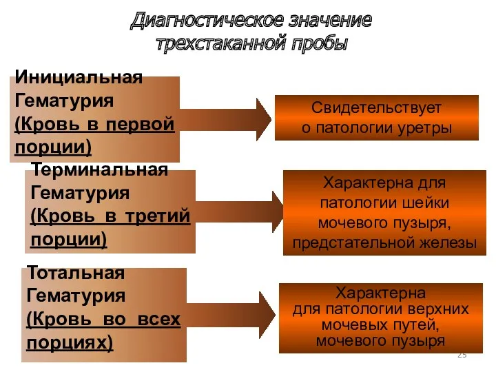 Диагностическое значение трехстаканной пробы Инициальная Гематурия (Кровь в первой порции)