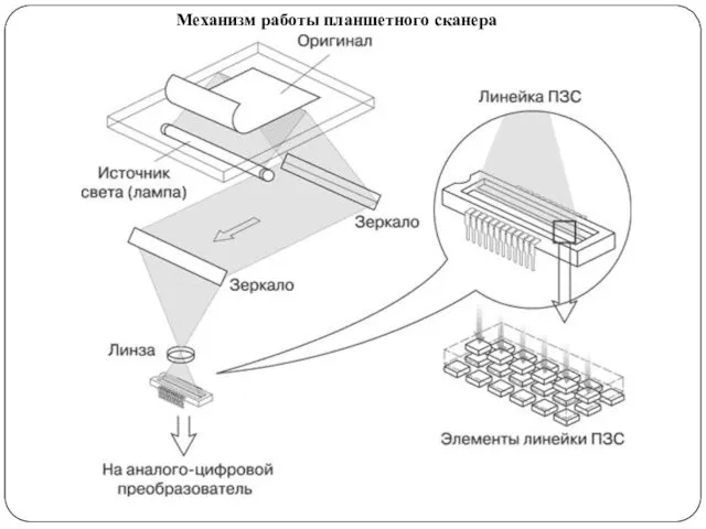 Механизм работы планшетного сканера