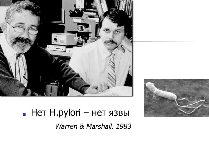 Нет H.pylori – нет язвы Warren & Marshall, 1983