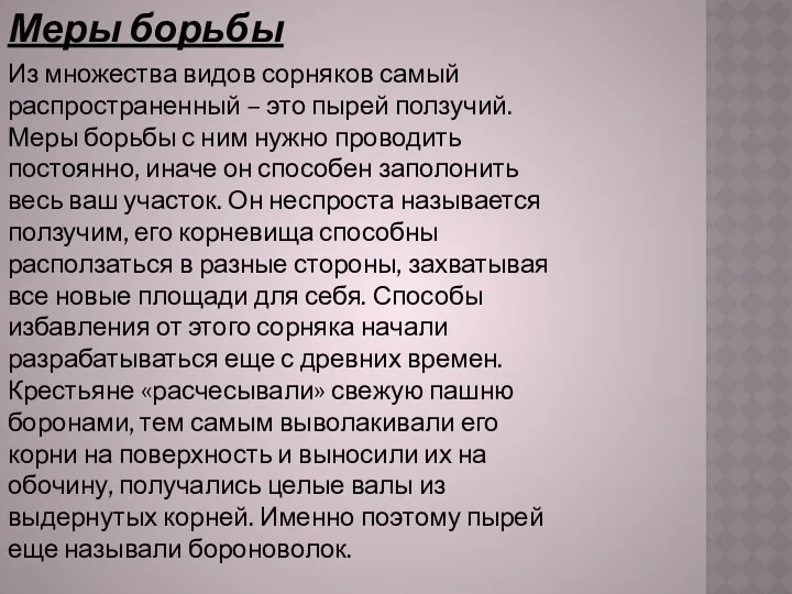 Из множества видов сорняков самый распространенный – это пырей ползучий.