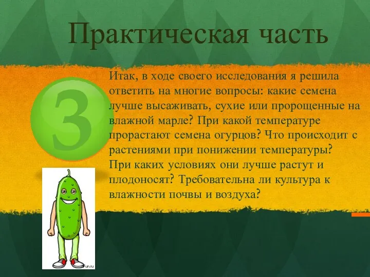 3 Практическая часть Итак, в ходе своего исследования я решила