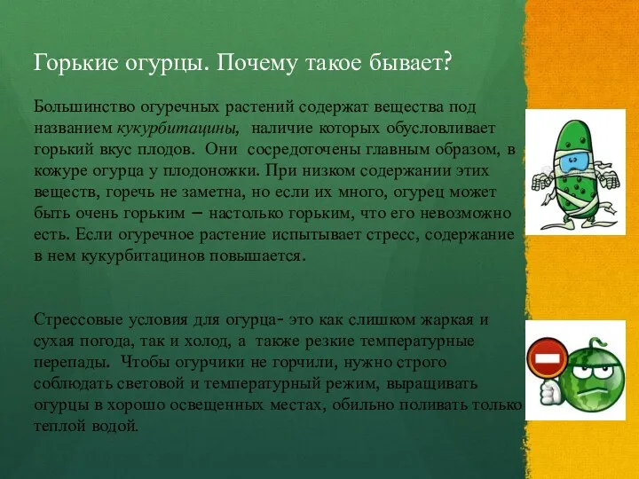 Горькие огурцы. Почему такое бывает? Большинство огуречных растений содержат вещества