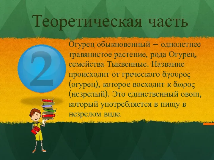 Теоретическая часть Огурец обыкновенный – однолетнее травянистое растение, рода Огурец,