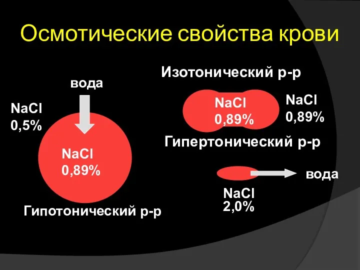 Осмотические свойства крови Изотонический р-р Гипертонический р-р Гипотонический р-р