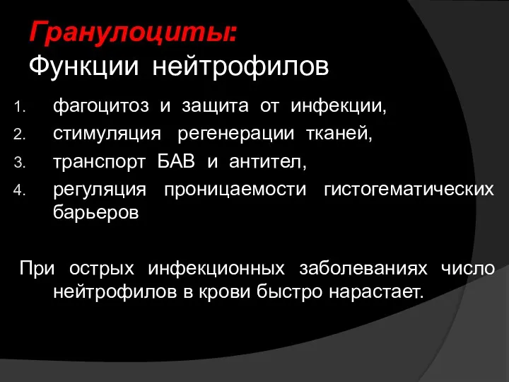 Гранулоциты: Функции нейтрофилов фагоцитоз и защита от инфекции, стимуляция регенерации