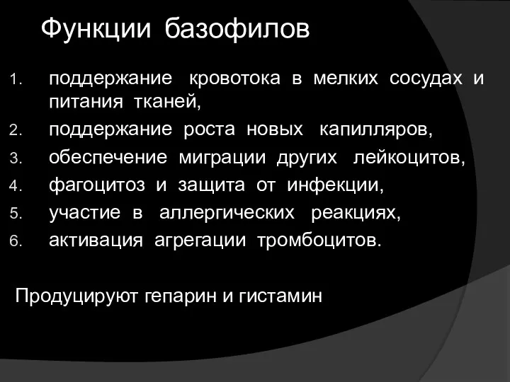 Функции базофилов поддержание кровотока в мелких сосудах и питания тканей, поддержание роста новых