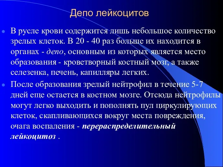 Депо лейкоцитов В русле крови содержится лишь небольшое количество зрелых