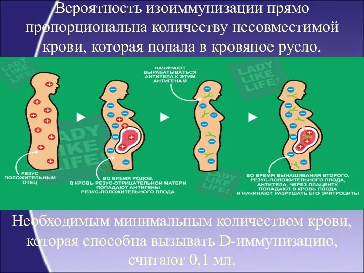 Вероятность изоиммунизации прямо пропорциональна количеству несовместимой крови, которая попала в