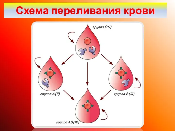 Схема переливания крови