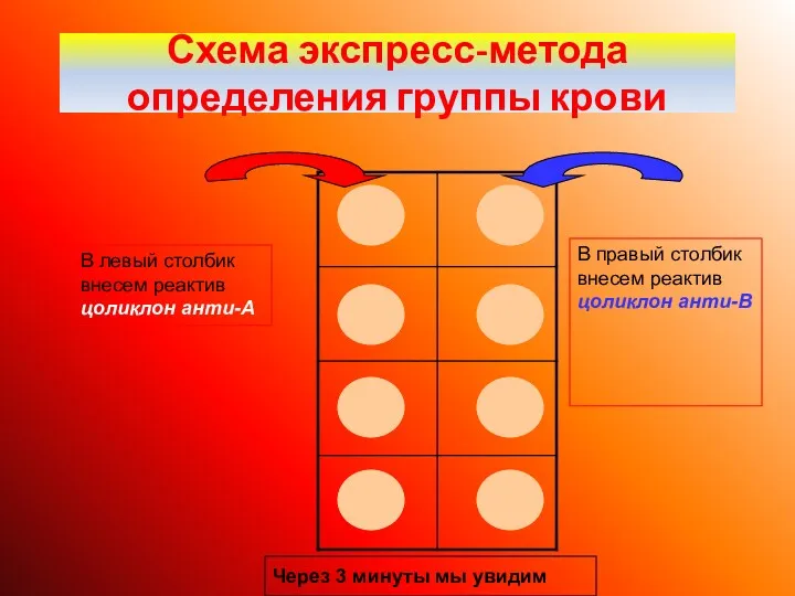 Схема экспресс-метода определения группы крови В левый столбик внесем реактив