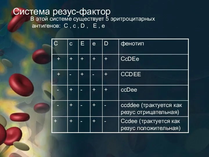 Система резус-фактор В этой системе существует 5 эритроцитарных антигенов: С