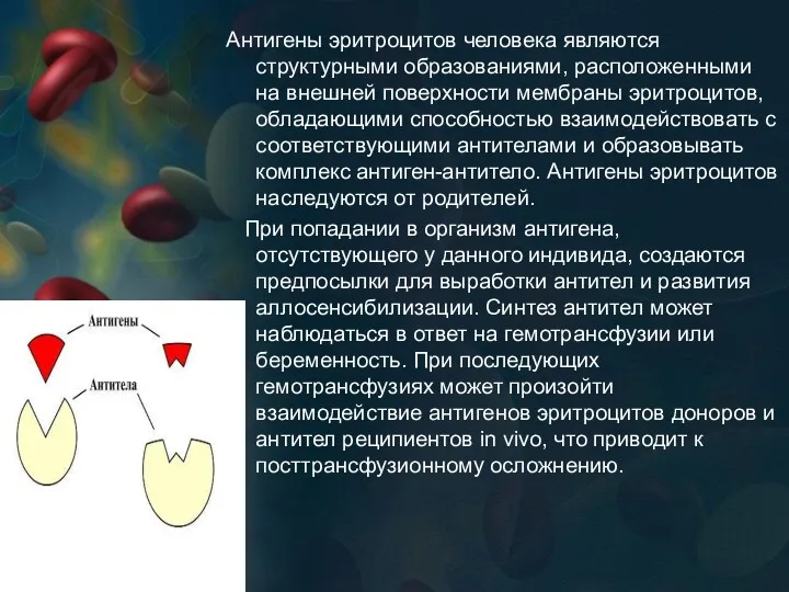 Антигены эритроцитов человека являются структурными образованиями, расположенными на внешней поверхности