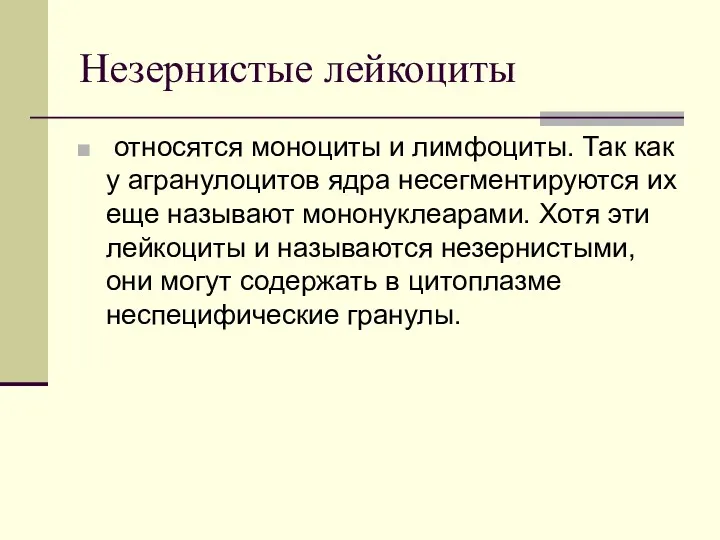 Незернистые лейкоциты относятся моноциты и лимфоциты. Так как у агранулоцитов