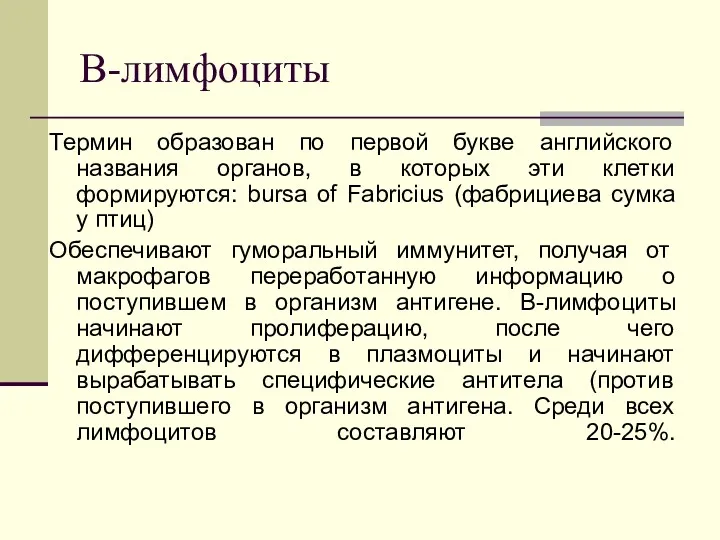 В-лимфоциты Термин образован по первой букве английского названия органов, в