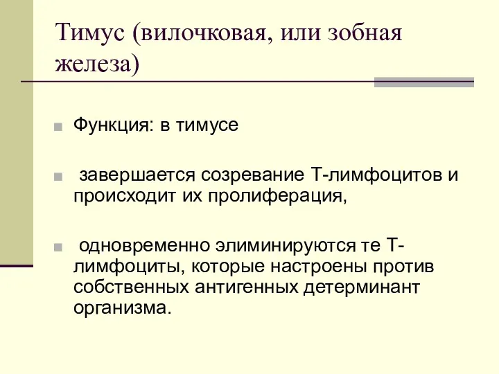 Тимус (вилочковая, или зобная железа) Функция: в тимусе завершается созревание