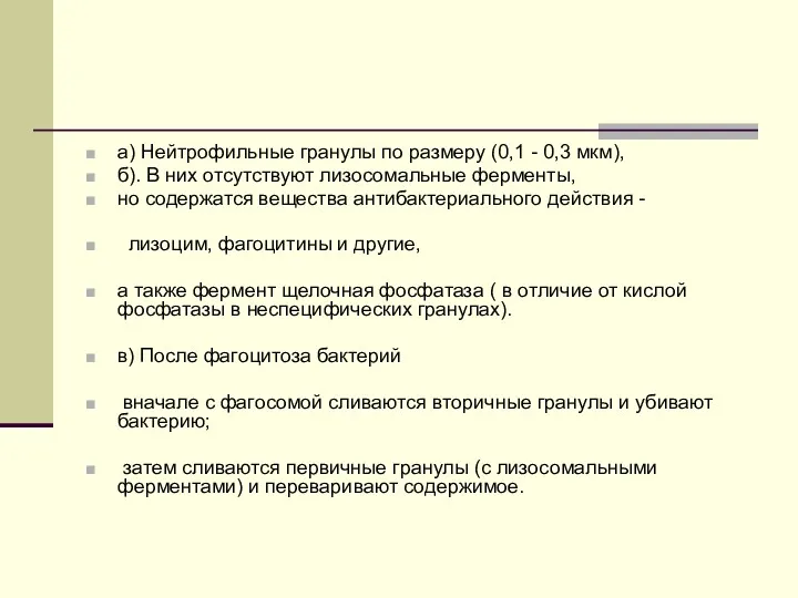 а) Нейтрофильные гранулы по размеру (0,1 - 0,3 мкм), б).