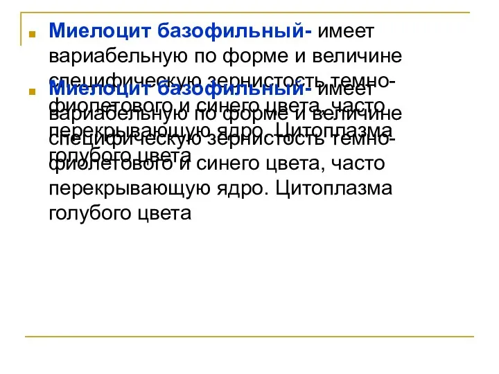 Миелоцит базофильный- имеет вариабельную по форме и величине специфическую зернистость