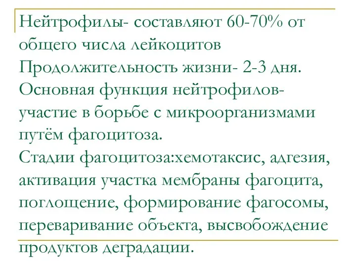 Нейтрофилы- составляют 60-70% от общего числа лейкоцитов Продолжительность жизни- 2-3